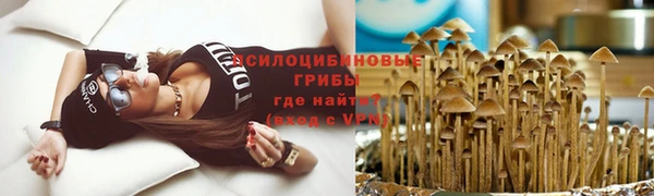 гашишное масло Аркадак